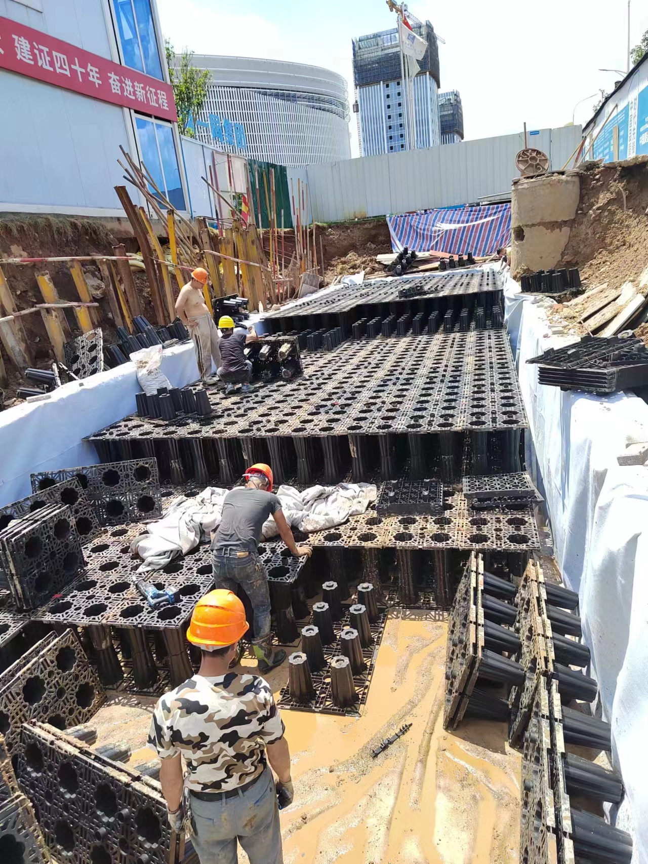 1685494515206042.jpg 6.jpg